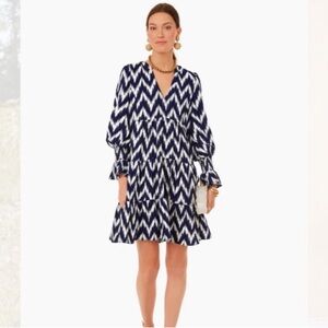 Elegant Chevron Long Sleeve Dress